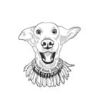 不思議なアボリジニーの犬（個別スタンプ：8）