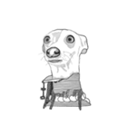 不思議なアボリジニーの犬（個別スタンプ：12）