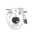 不思議なアボリジニーの犬（個別スタンプ：13）