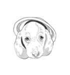 不思議なアボリジニーの犬（個別スタンプ：15）