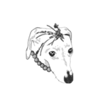 不思議なアボリジニーの犬（個別スタンプ：16）