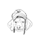 不思議なアボリジニーの犬（個別スタンプ：20）