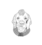 不思議なアボリジニーの犬（個別スタンプ：21）