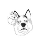 不思議なアボリジニーの犬（個別スタンプ：24）