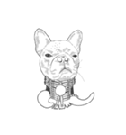 不思議なアボリジニーの犬（個別スタンプ：25）