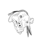 不思議なアボリジニーの犬（個別スタンプ：31）