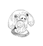 不思議なアボリジニーの犬（個別スタンプ：32）