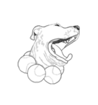 不思議なアボリジニーの犬（個別スタンプ：35）
