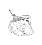 不思議なアボリジニーの犬（個別スタンプ：37）