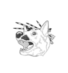 不思議なアボリジニーの犬（個別スタンプ：38）