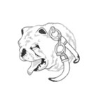 不思議なアボリジニーの犬（個別スタンプ：39）