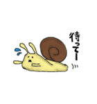 でんでんむしdays（個別スタンプ：12）