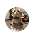 のぶながくん1（個別スタンプ：5）