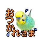 インコのポンちゃん（日常会話）（個別スタンプ：2）