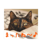 momo＆hatti2（個別スタンプ：2）