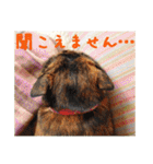 momo＆hatti2（個別スタンプ：20）