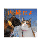 momo＆hatti2（個別スタンプ：21）