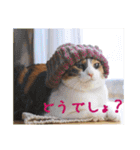 momo＆hatti2（個別スタンプ：28）