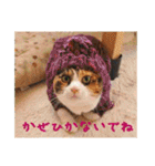 momo＆hatti2（個別スタンプ：29）