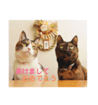 momo＆hatti2（個別スタンプ：34）