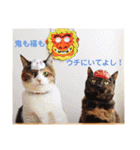 momo＆hatti2（個別スタンプ：35）