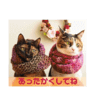 momo＆hatti2（個別スタンプ：38）