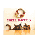 momo＆hatti2（個別スタンプ：40）