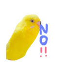 セキセイインコの会話（個別スタンプ：11）