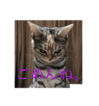 うちの猫 りりす（個別スタンプ：2）