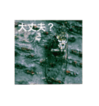 虫のキモチ（個別スタンプ：1）
