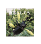 虫のキモチ（個別スタンプ：2）