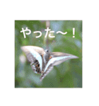 虫のキモチ（個別スタンプ：4）