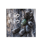 虫のキモチ（個別スタンプ：5）