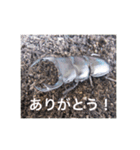 虫のキモチ（個別スタンプ：6）