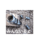 虫のキモチ（個別スタンプ：10）