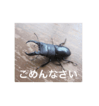 虫のキモチ（個別スタンプ：12）