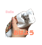 ハムスターのBelleちゃん（個別スタンプ：2）