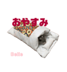 ハムスターのBelleちゃん（個別スタンプ：3）