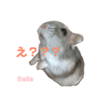 ハムスターのBelleちゃん（個別スタンプ：17）