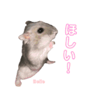 ハムスターのBelleちゃん（個別スタンプ：18）