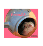 ハムスターのBelleちゃん（個別スタンプ：24）