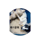 哇...（個別スタンプ：6）