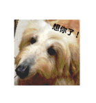 哇...（個別スタンプ：16）