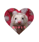 うちのフェレットくん（個別スタンプ：6）