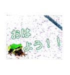 つぶやくリアルのカエルのスタンプ（個別スタンプ：3）
