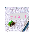 つぶやくリアルのカエルのスタンプ（個別スタンプ：9）