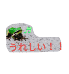 つぶやくリアルのカエルのスタンプ（個別スタンプ：11）