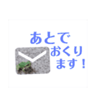 つぶやくリアルのカエルのスタンプ（個別スタンプ：24）