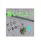 つぶやくリアルのカエルのスタンプ（個別スタンプ：27）