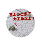 つぶやくリアルのカエルのスタンプ（個別スタンプ：36）